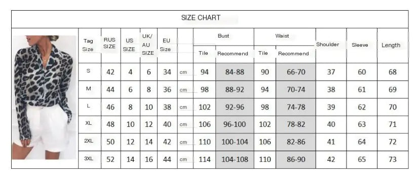 Long Sleeve Chiffon Leopard Print Women’s Shirt