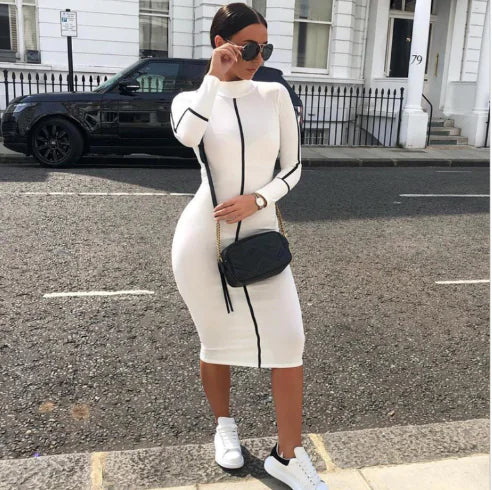 Color Block Long Sleeve High Neck Maxi Dress